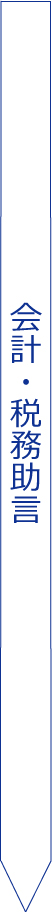 会計・税務助言